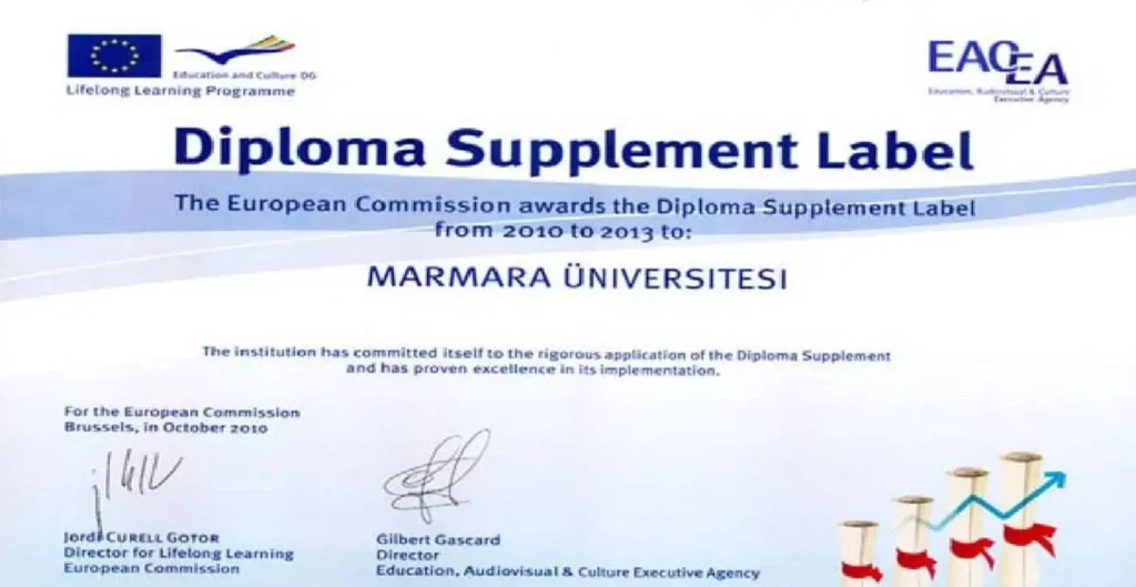 marmara üniversitesi mavi diploma örneği