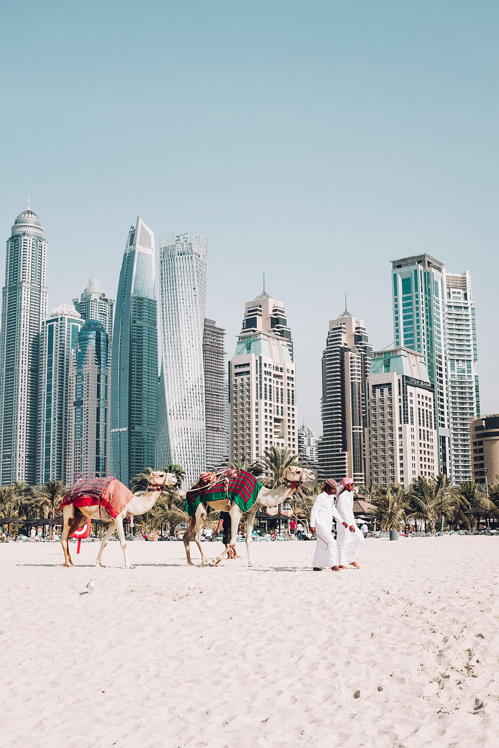 Dubai Dil Okulları Image2