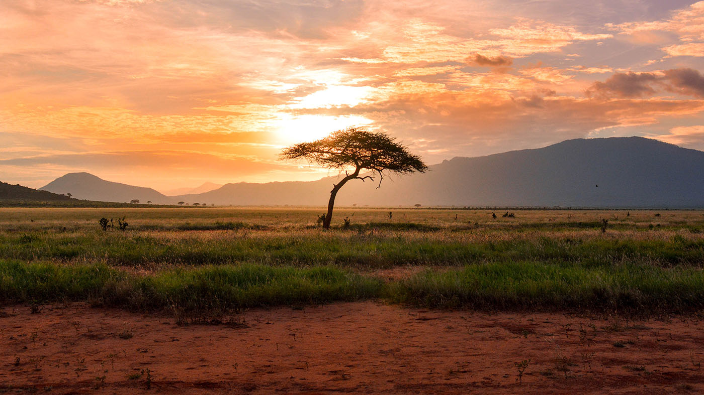 Güney Afrika