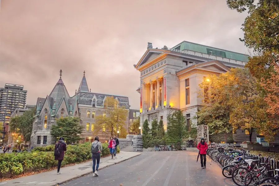 mcgill üniversitesi
