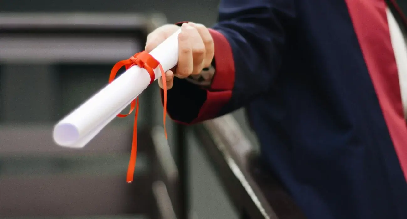 mavi diploma veren üniversiteler