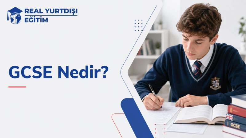 gcse nedir